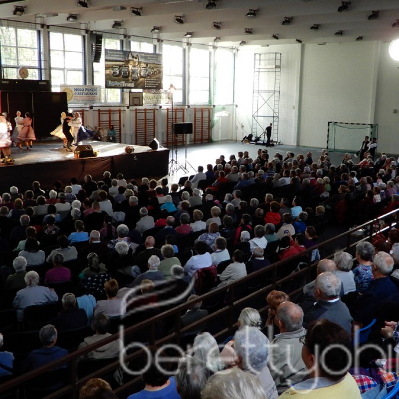 Kovács Kati koncertezett az időseknek 28